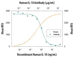 Human IL-10 Antibody, R D Systems 25&mu;g; Unlabeled:Antibodies, Polyclonal