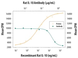 Mouse/Rat IL-10 Antibody, R D Systems 100&mu;g; Unlabeled:Antibodies, Polyclonal