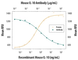 Mouse IL-10 Antibody, R D Systems 500&mu;g; Unlabeled:Antibodies, Monoclonal