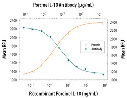 Porcine IL-10 Antibody, R D Systems 25&mu;g; Unlabeled:Antibodies, Monoclonal