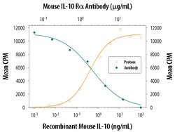 Mouse IL-10 R alpha Antibody, R D Systems 100&mu;g; Unlabeled:Antibodies,