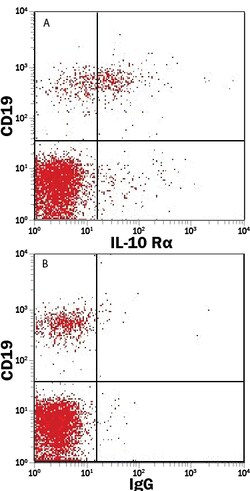 IL-10R alpha Goat anti-Human, R-PE, Polyclonal, R D Systems 100 Tests;