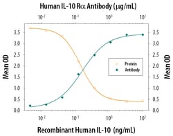 Human IL-10 R alpha Antibody, R D Systems:Antibodies:Primary Antibodies