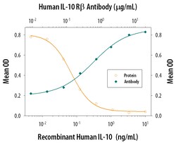 Human IL-10 R beta Antibody, R D Systems 25&mu;g; Unlabeled:Antibodies,