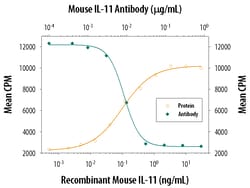 Mouse IL-11 Antibody, R D Systems 100&mu;g; Unlabeled:Antibodies, Polyclonal