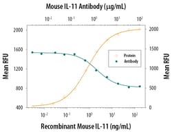 Mouse IL-11 Antibody, R D Systems 25&mu;g; Unlabeled:Antibodies, Monoclonal