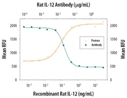 Rat IL-12 Antibody, R D Systems 25&mu;g; Unlabeled:Antibodies, Polyclonal