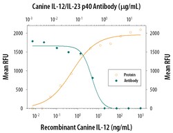 Canine IL-12/IL-23 p40 Antibody, R D Systems 100&mu;g; Unlabeled:Antibodies,