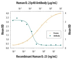 Human IL-12/IL-23 p40 Antibody, R D Systems 100&mu;g; Unlabeled:Antibodies,