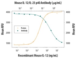 Mouse IL-12/IL-23 p40 Antibody, R D Systems 100&mu;g; Unlabeled:Antibodies,