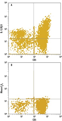Human IL-12 R beta 1 APC-conjugated Antibody, R D Systems:Antibodies:Primary