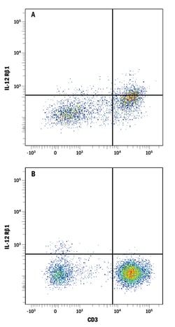 Human IL-12 R beta 1 Fluorescein-conjugated Antibody, R D Systems:Antibodies:Primary