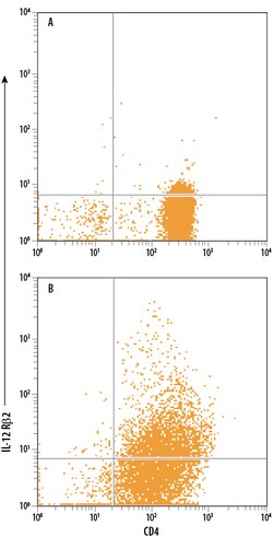 Human/Mouse IL-12 R beta 2 PerCP-conjugated Antibody, R D Systems:Antibodies:Primary