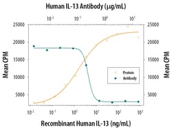 Human IL-13 Antibody, R D Systems 250&mu;g; Unlabeled:Antibodies, Polyclonal