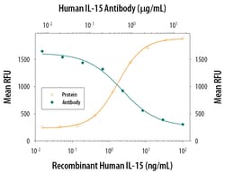 Human IL-15 Antibody, R D Systems 100&mu;g; Unlabeled:Antibodies, Monoclonal