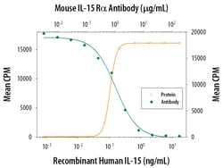 Mouse IL-15R alpha Antibody, R D Systems 100&mu;g; Unlabeled:Antikörper