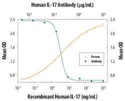Human IL-17/IL-17A Antibody, R D Systems 100&mu;g; Unlabeled:Antibodies,