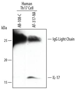 Human IL-17/IL-17A Antibody, R D Systems 100&mu;g; Unlabeled:Antibodies,