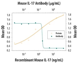 Mouse IL-17/IL-17A Antibody, R D Systems 100 &mu;g | Buy Online | R&D Systems | Fisher Scientific