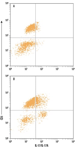 Human IL-17/IL-17A PerCP-conjugated Antibody, R D Systems 100 Tests; PerCP:Antibodies,