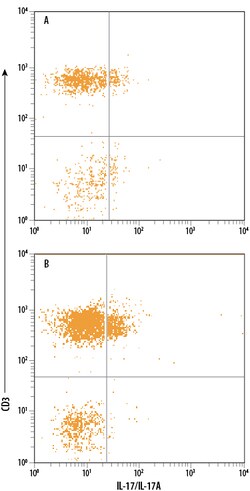 Human IL-17/IL-17A PE-conjugated Antibody, R D Systems:Antibodies:Primary