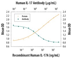 Human/Primate IL-17/IL-17A Antibody, R D Systems 100&mu;g; Unlabeled:Antibodies,