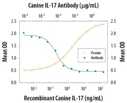 Canine IL-17 Antibody, R D Systems 25&mu;g; Unlabeled:Antibodies, Monoclonal