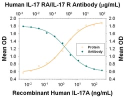 Human IL-17RA/IL-17R Antibody, R D Systems:Antibodies:Primary Antibodies
