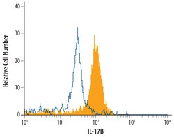Mouse IL-17B Antibody, R D Systems 100&mu;g; Unlabeled:Antibodies, Polyclonal
