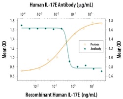 Human IL-17E/IL-25 Antibody, R D Systems 25&mu;g; Unlabeled:Antibodies,
