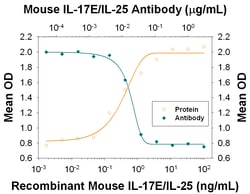 Mouse IL-17E/IL-25 Antibody, R D Systems 100ug; Unlabeled:Antibodies, Monoclonal