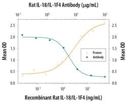 Rat IL-18/IL-1F4 Antibody, R D Systems 100&mu;g; Unlabeled:Antibodies,