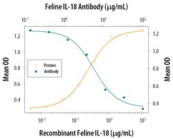 Feline IL-18/IL-1F4 Antibody, R D Systems 25&mu;g; Unlabeled:Antibodies,