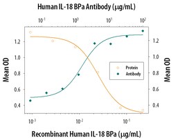 Human IL-18 BPa Antibody, R D Systems 100&mu;g; Unlabeled:Antibodies, Polyclonal