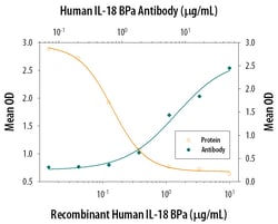 Human IL-18 BPa Antibody, R D Systems 500ug; Unlabeled:Antibodies, Monoclonal