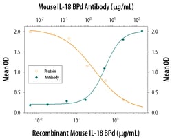 Mouse IL-18 BPd Antibody, R D Systems 25&mu;g; Unlabeled:Antibodies, Polyclonal