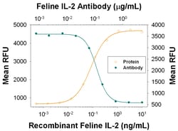 Feline IL-2 Antibody, R D Systems 25&mu;g; Unlabeled:Antibodies, Polyclonal