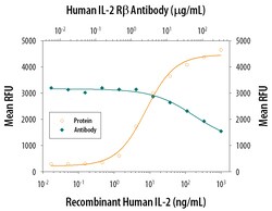 Human IL-2 R beta Antibody, R D Systems 25&mu;g; Unlabeled:Antibodies,