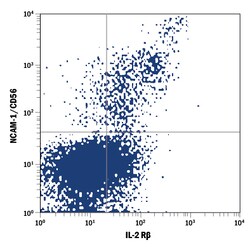 Human IL-2 R beta APC-conjugated Antibody, R D Systems 100 Tests; APC:Antibodies,