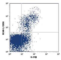 Human IL-2 R beta PE-conjugated Antibody, R D Systems 100 Tests; PE:Antibodies,