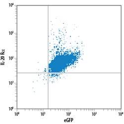 Human IL-20R alpha PE-conjugated Antibody, R D Systems 100 Tests; PE:Antibodies,