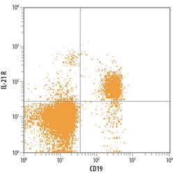 Human IL-21R PE-conjugated Antibody, R D Systems:Antibodies:Primary Antibodies