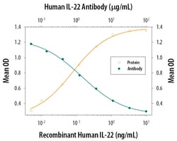 Human IL-22 Antibody, R D Systems:Antibodies:Primary Antibodies
