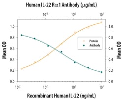 Human IL-22 R alpha 1 Antibody, R D Systems 25&mu;g; Unlabeled:Antibodies,