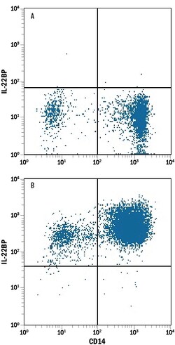 Human IL-22BP APC-conjugated Antibody, R D Systems 25 Tests; APC:Antibodies,