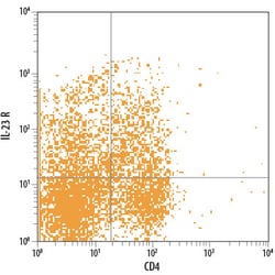 Human IL-23R Alexa Fluor 700-conjugated Antibody, R D Systems 25 Tests;