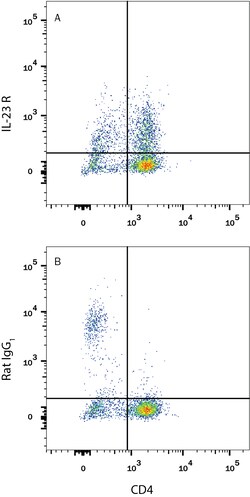 Mouse IL-23R Alexa Fluor 700-conjugated Antibody, R D Systems:Antibodies:Primary