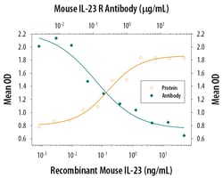 Mouse IL-23R Antibody, R D Systems 100&mu;g; Unlabeled:Antibodies, Monoclonal