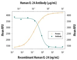 Human IL-24 Antibody, R D Systems 25&mu;g; Unlabeled:Antibodies, Polyclonal