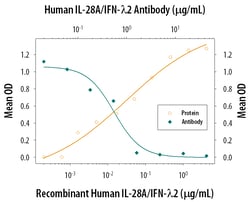 Human IL-28A/IFN-lambda 2 Antibody, R D Systems 100&mu;g; Unlabeled:Antibodies,